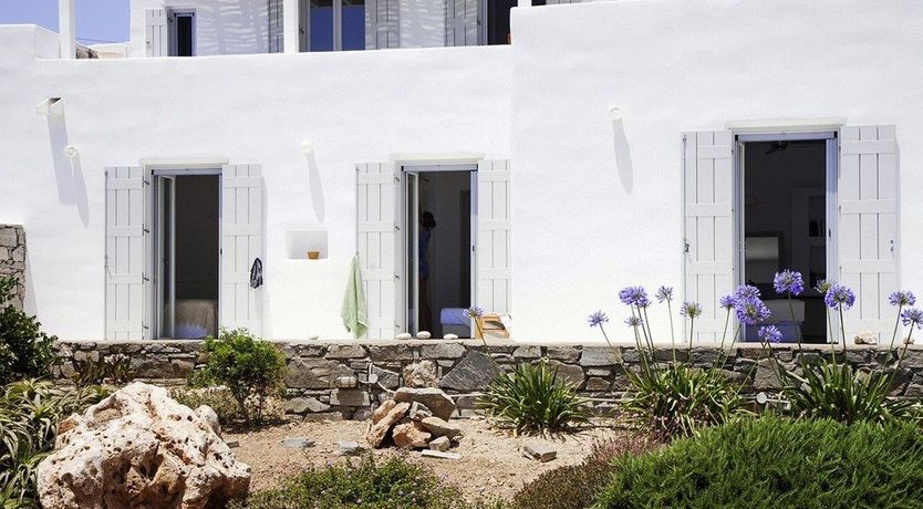 Photo of In The Mustardseed Sun