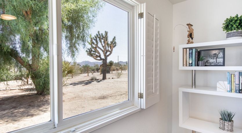 Photo of The Moonage Daydream