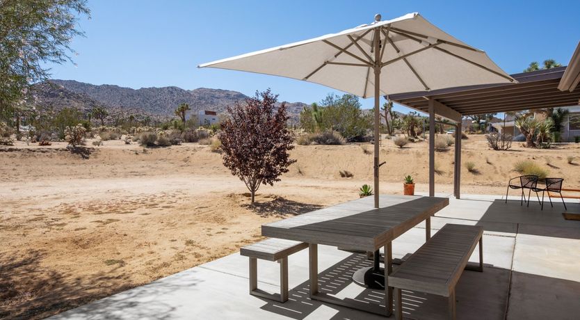 Photo of The Moonage Daydream