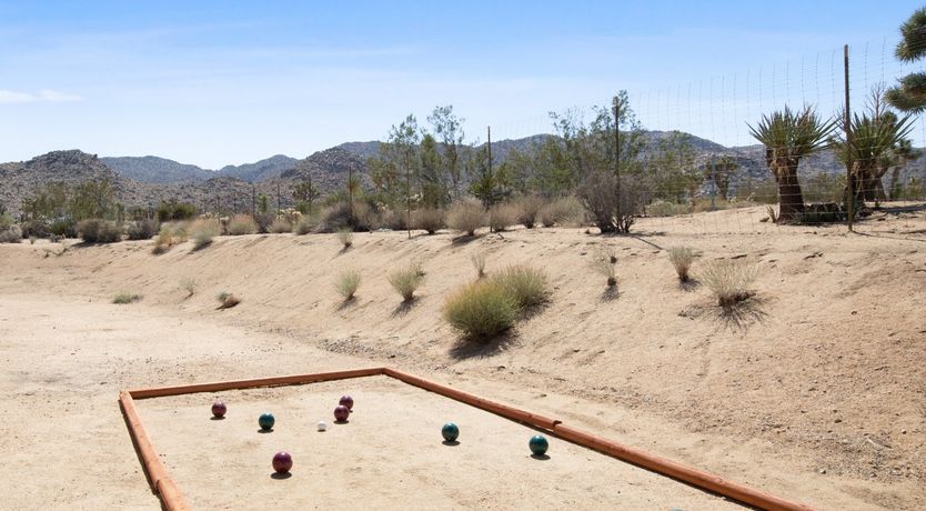 Photo of The Moonage Daydream