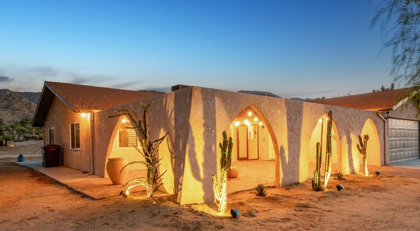 Photo of The Moonage Daydream