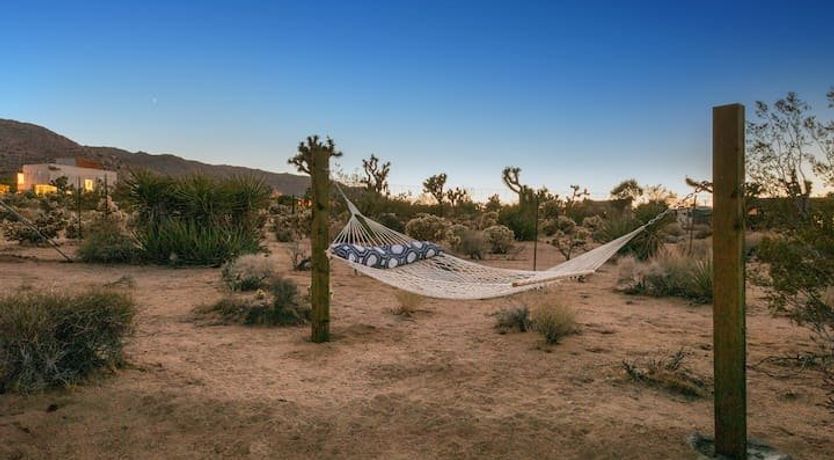 Photo of The Moonage Daydream