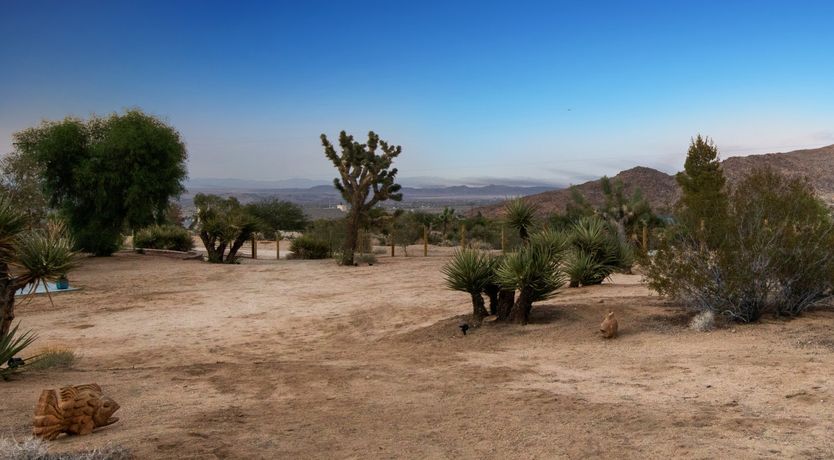 Photo of The Moonage Daydream