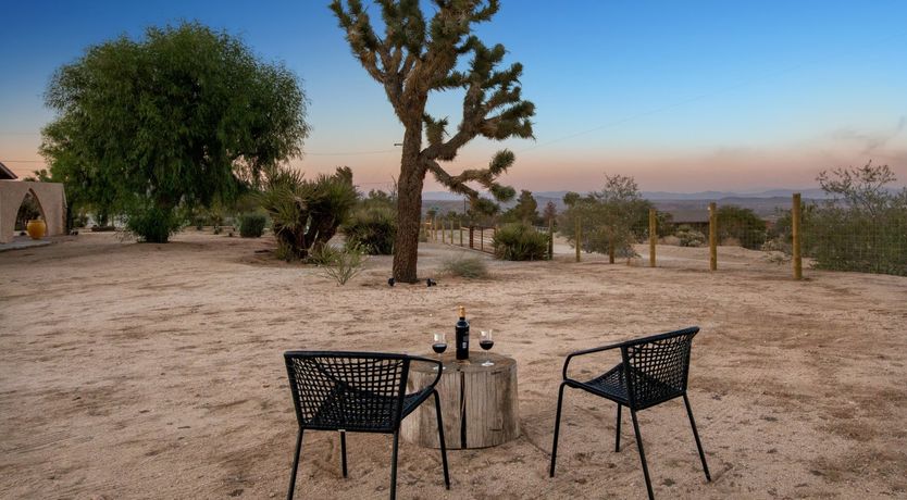 Photo of The Moonage Daydream