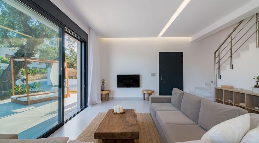 Photo of A Twinkle in the Eye