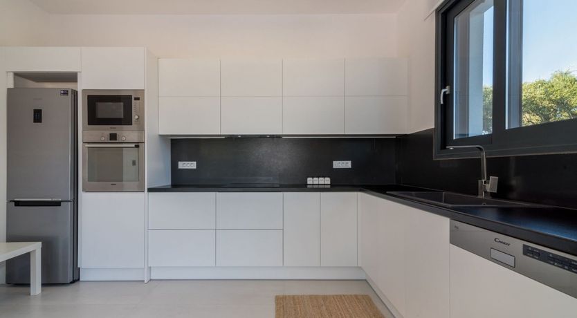 Photo of A Twinkle in the Eye