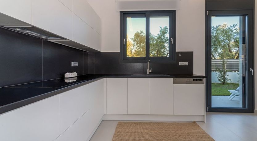 Photo of A Twinkle in the Eye