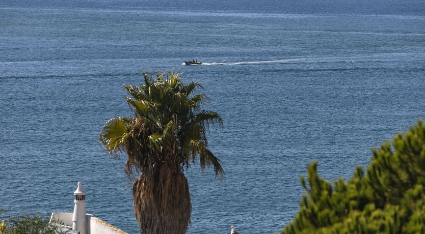 Photo of Bottled Sunshine