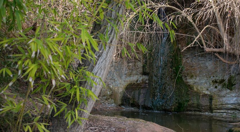 Photo of The Apricot Sky