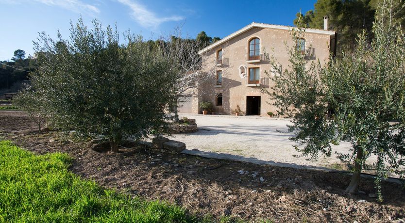 Photo of The Apricot Sky