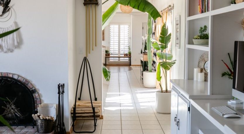 Photo of The Revelation