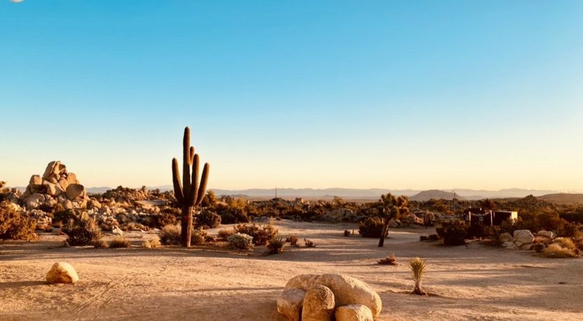 Photo of The Revelation