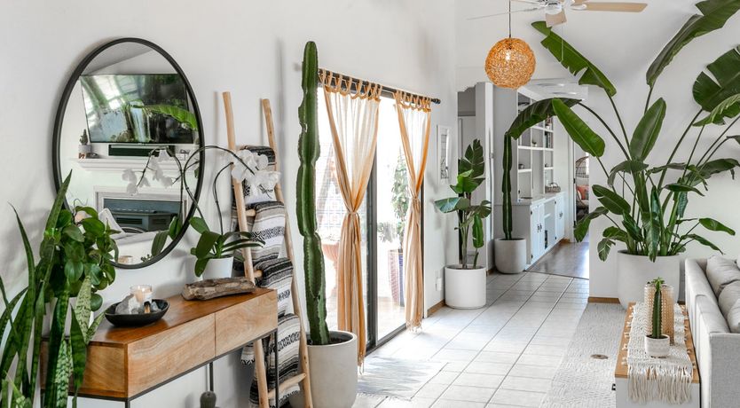 Photo of The Revelation