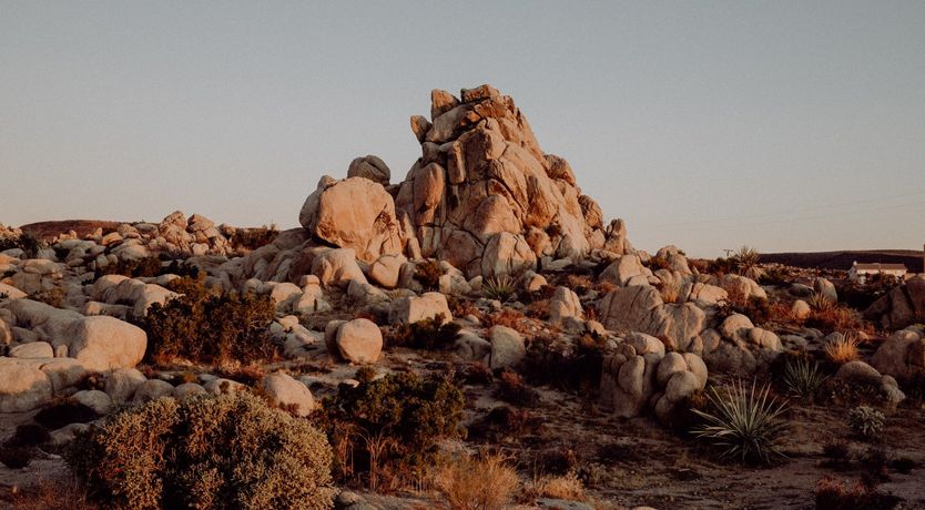 Photo of The Revelation