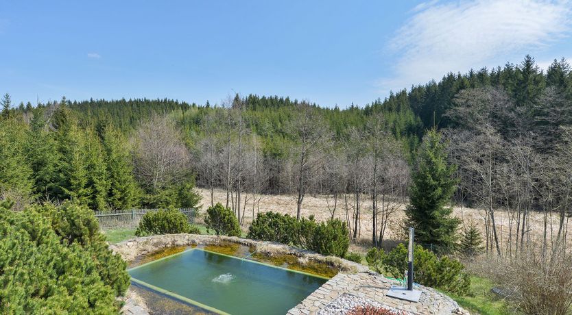 Photo of Czech It Out