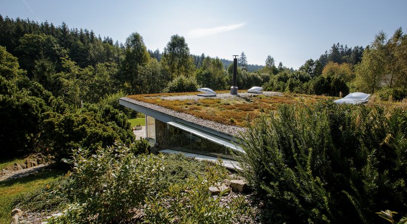 Photo of Czech It Out