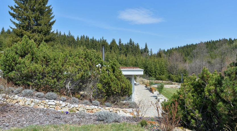 Photo of Czech It Out