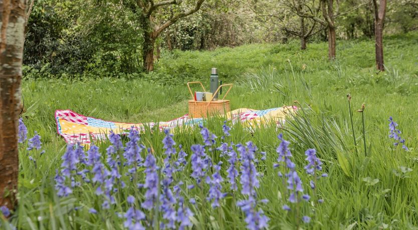 Photo of Saint Pancras Chapel