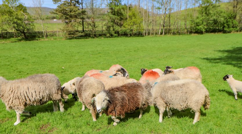 Photo of Herdie Hideaway