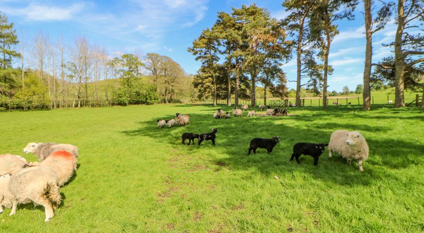 Photo of Herdie Hideaway