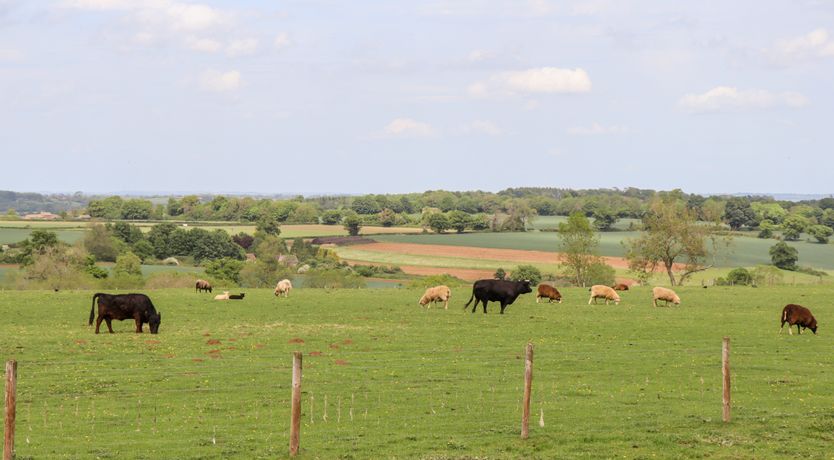 Photo of The Happy Valley Pod