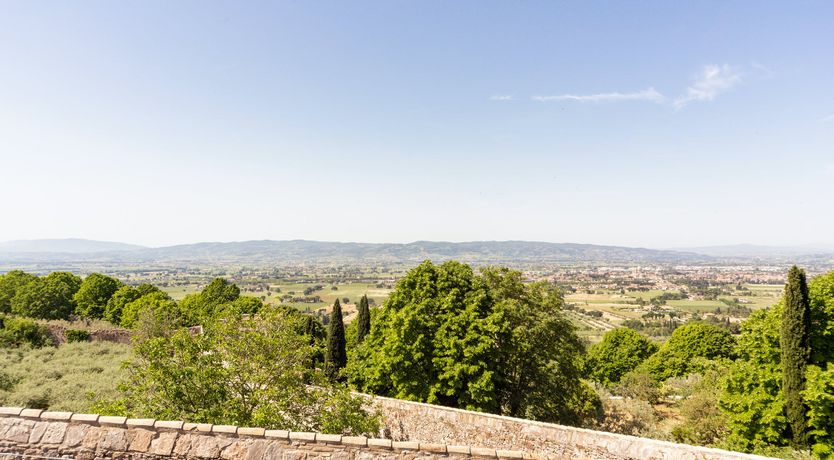 Photo of Library in the Trees