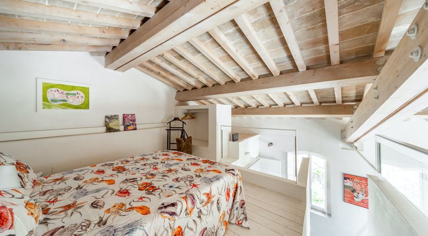 Photo of Library in the Trees