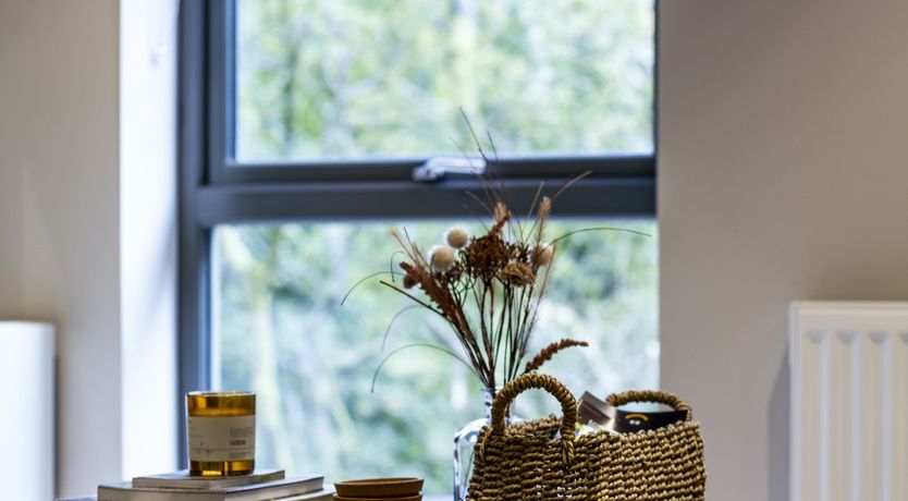 Photo of The River Blue