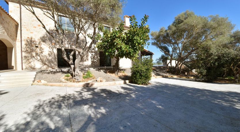 Photo of The Pink Dawn