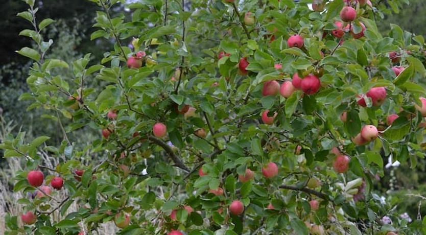 Photo of The Chic Retreat