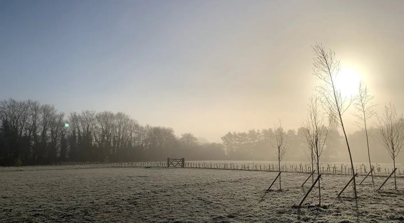 Photo of The Chic Retreat