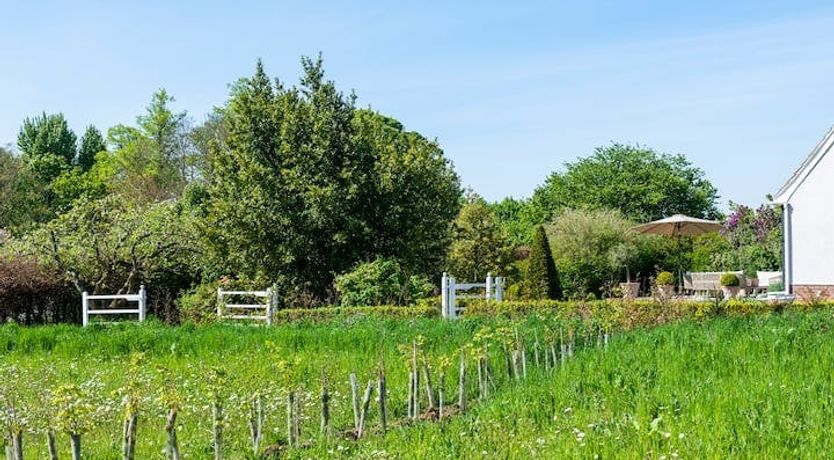 Photo of The Chic Retreat