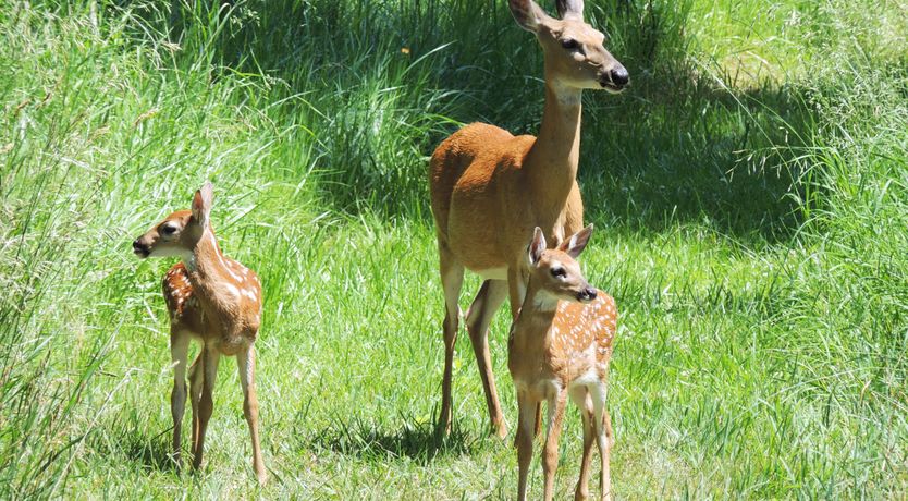 Photo of The Creek's Bend