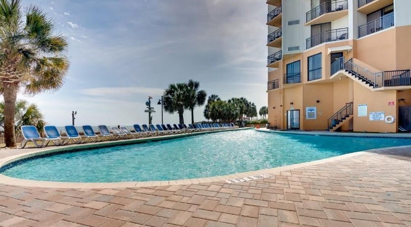 Photo of Yellow Jessamine