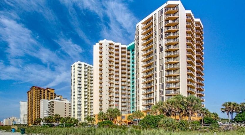 Photo of Yellow Jessamine