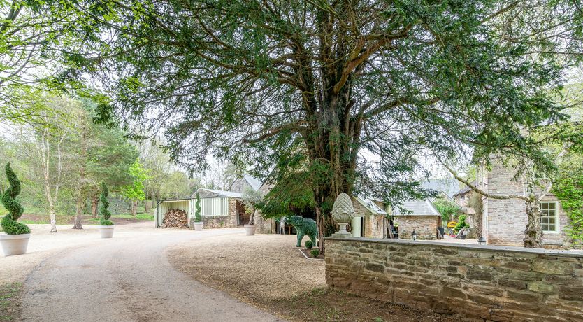 Photo of The Brook's Babble