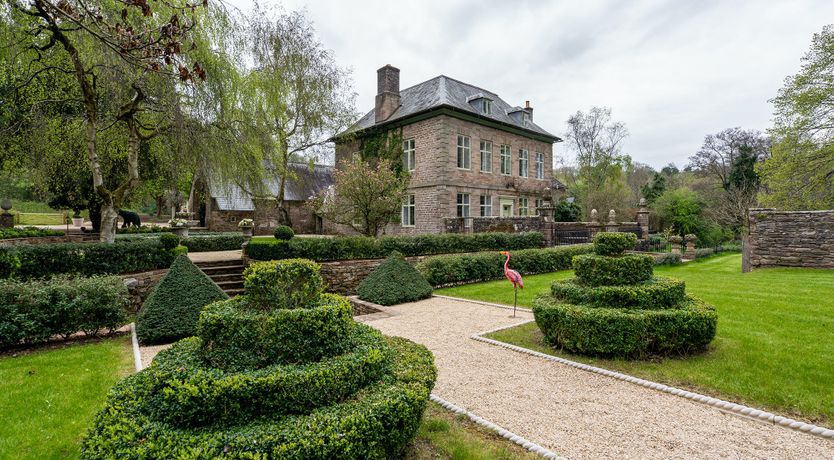 Photo of The Brook's Babble