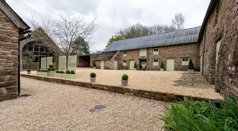 Photo of The Brook's Babble