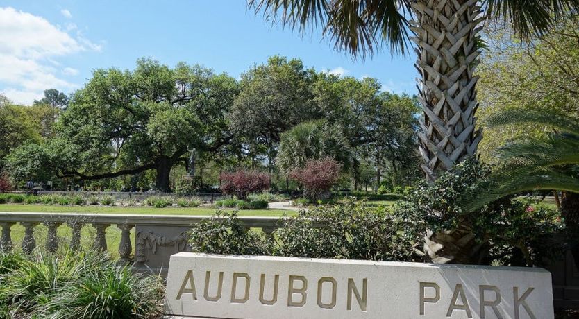 Photo of Canal Street Calling