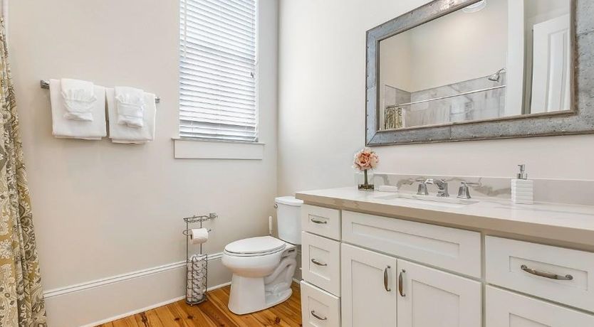 Photo of Louisiana Iris