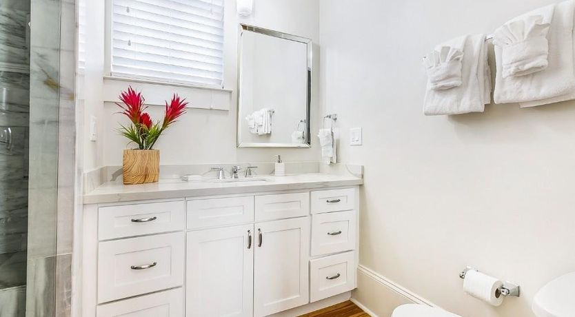 Photo of Louisiana Iris