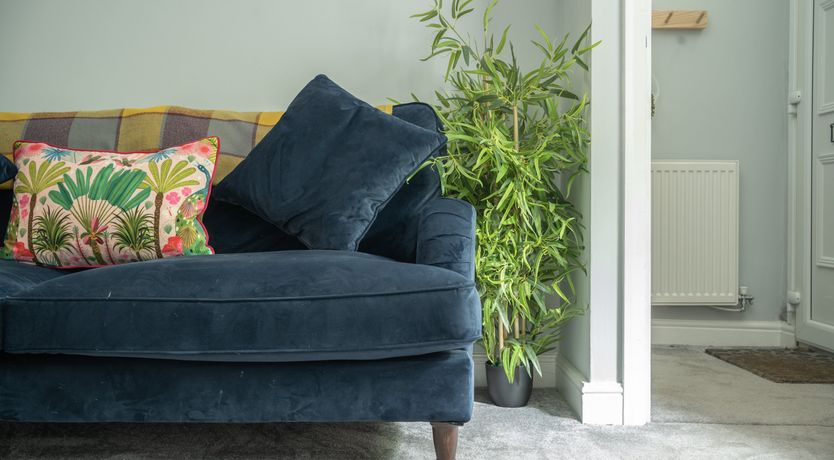 Photo of Happy Dales