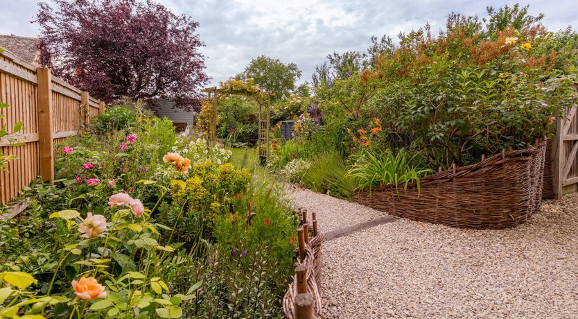 Photo of Bursting with Bloom