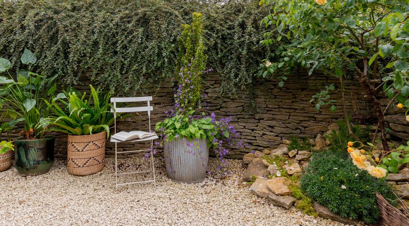 Photo of Bursting with Bloom