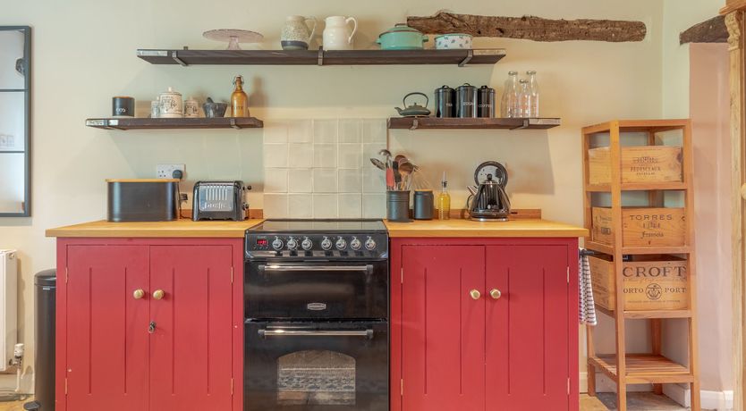 Photo of Bursting with Bloom