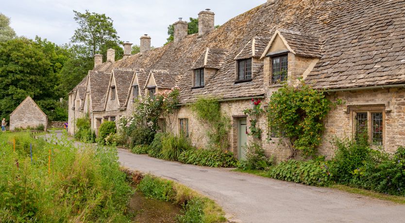 Photo of Bursting with Bloom