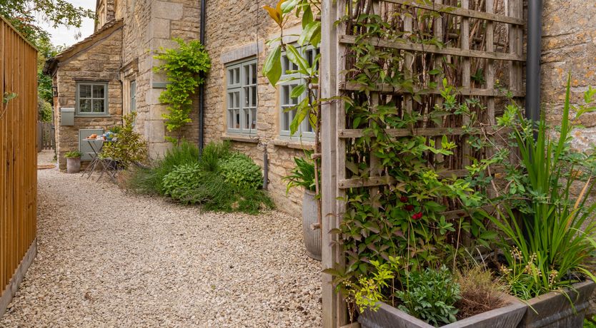 Photo of Bursting with Bloom