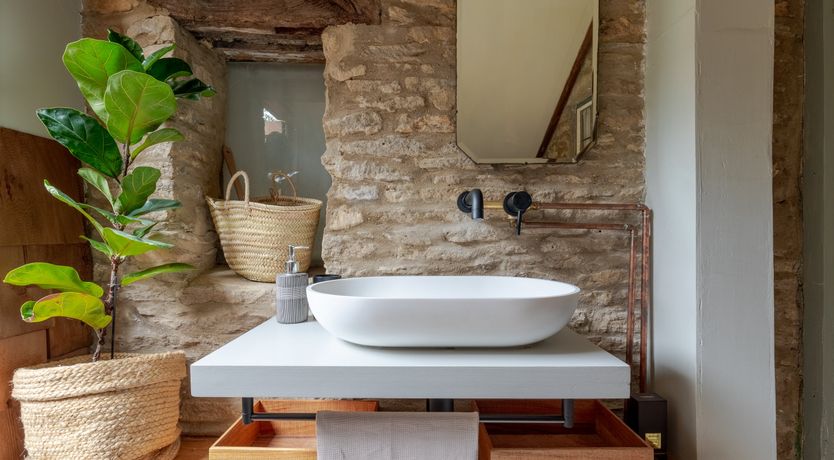 Photo of Bursting with Bloom