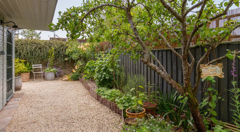 Photo of Bursting with Bloom