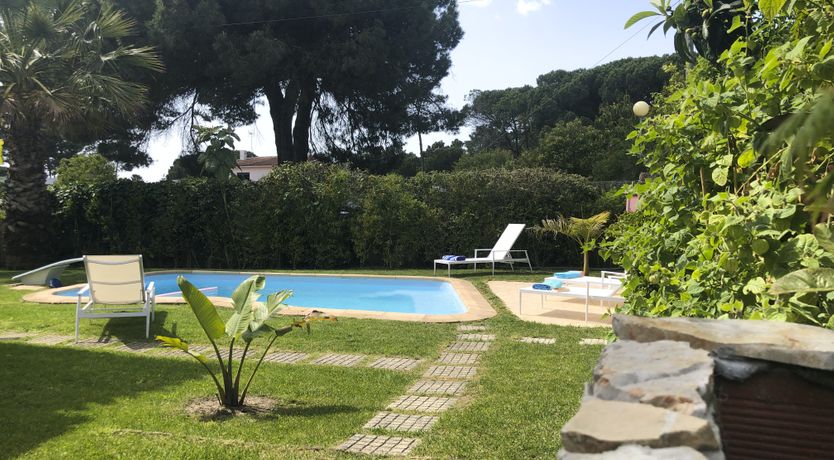 Photo of Lavender & Pines